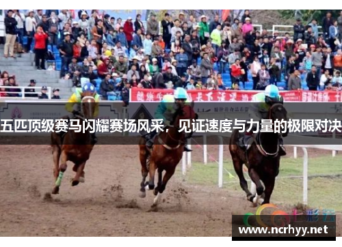 五匹顶级赛马闪耀赛场风采，见证速度与力量的极限对决